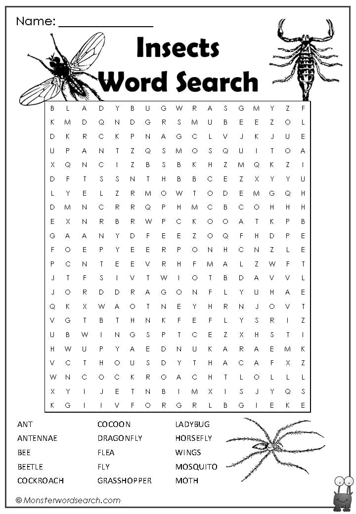 Insects Word Search- Monster Word Search