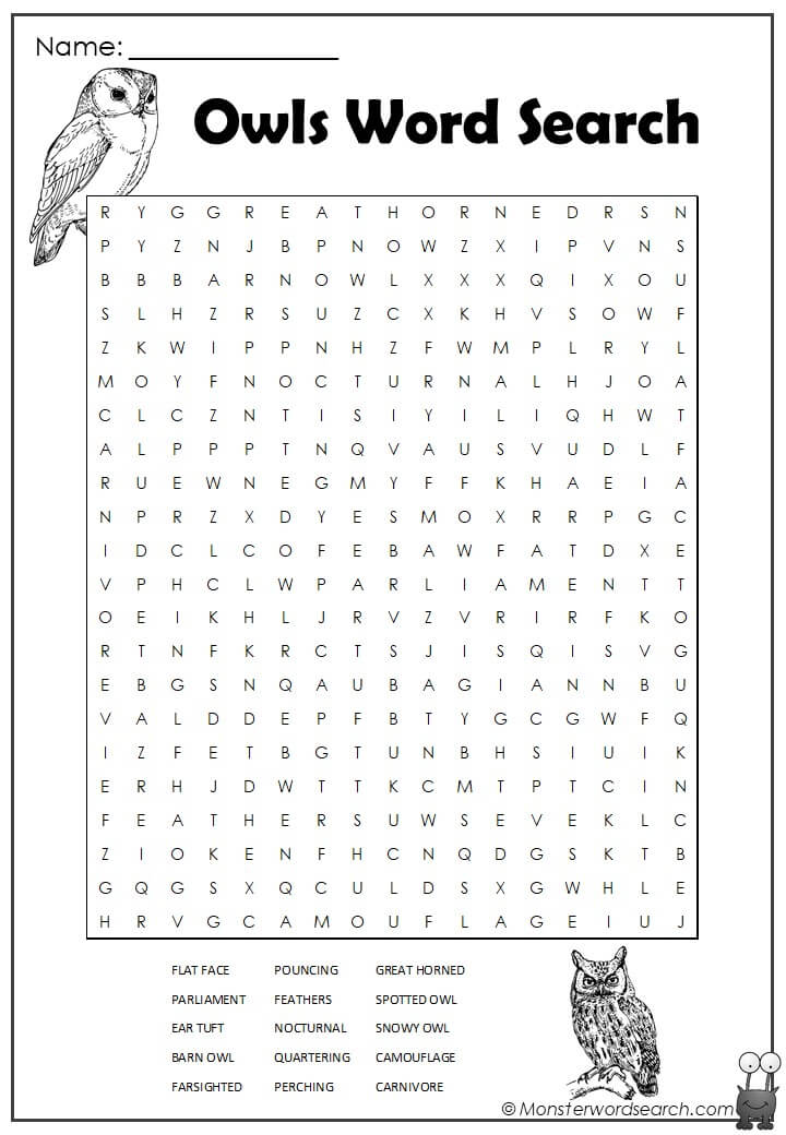 Owls Word Search- Monster Word Search