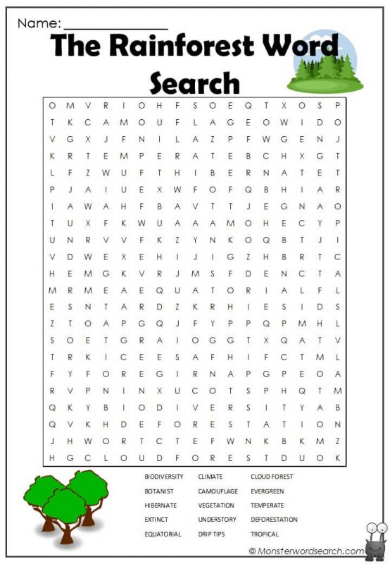 The Rainforest Word Search