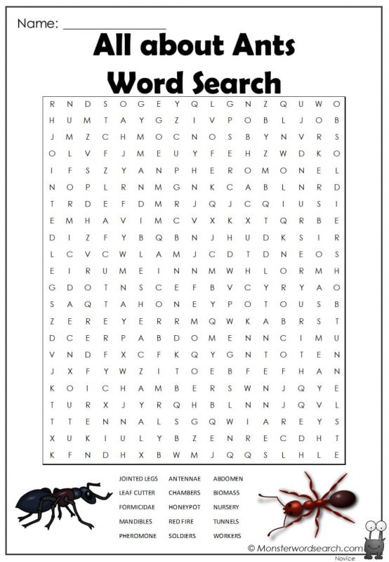 All about Ants Word Search